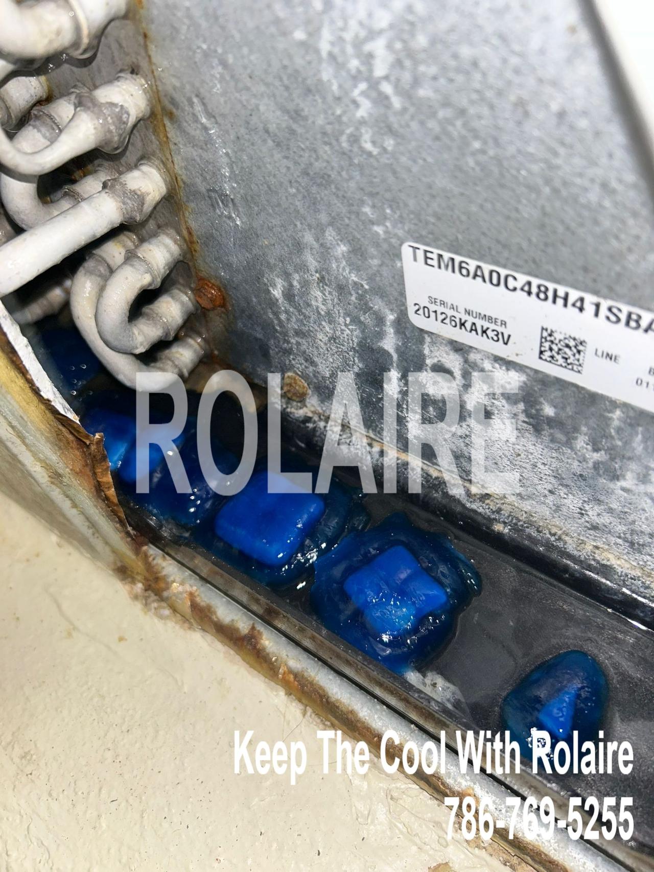 WhatsApp Image 2025-09-08 at 11.31.25 AM (1).jpeg