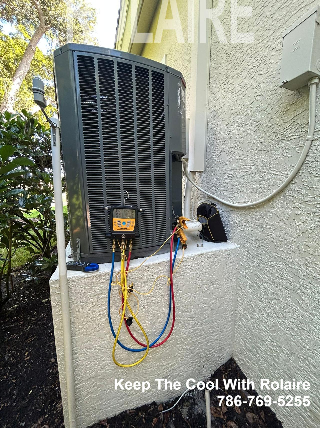 WhatsApp Image 2025-09-08 at 11.31.25 AM.jpeg