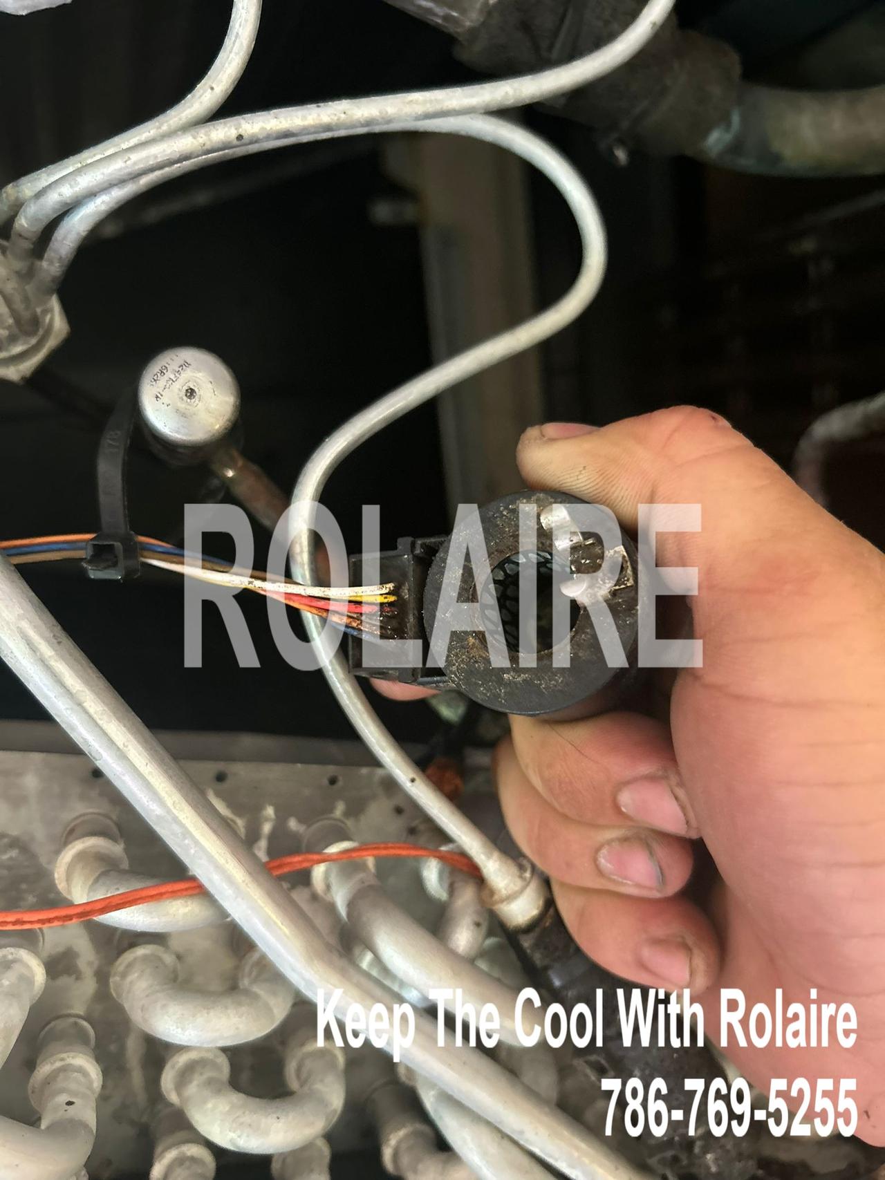 WhatsApp Image 2025-09-08 at 11.31.29 AM (1).jpeg