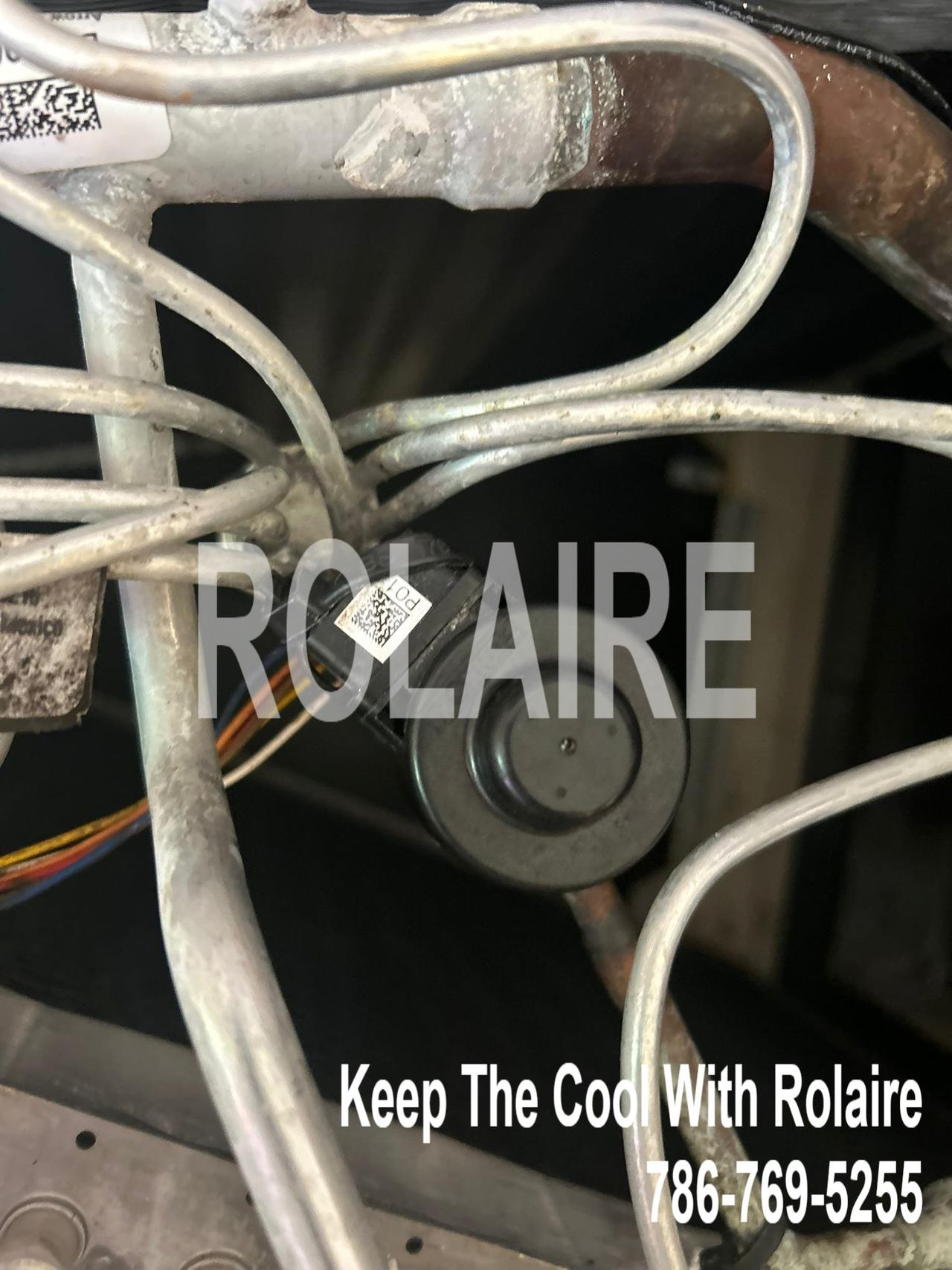 WhatsApp Image 2025-09-08 at 11.31.29 AM.jpeg