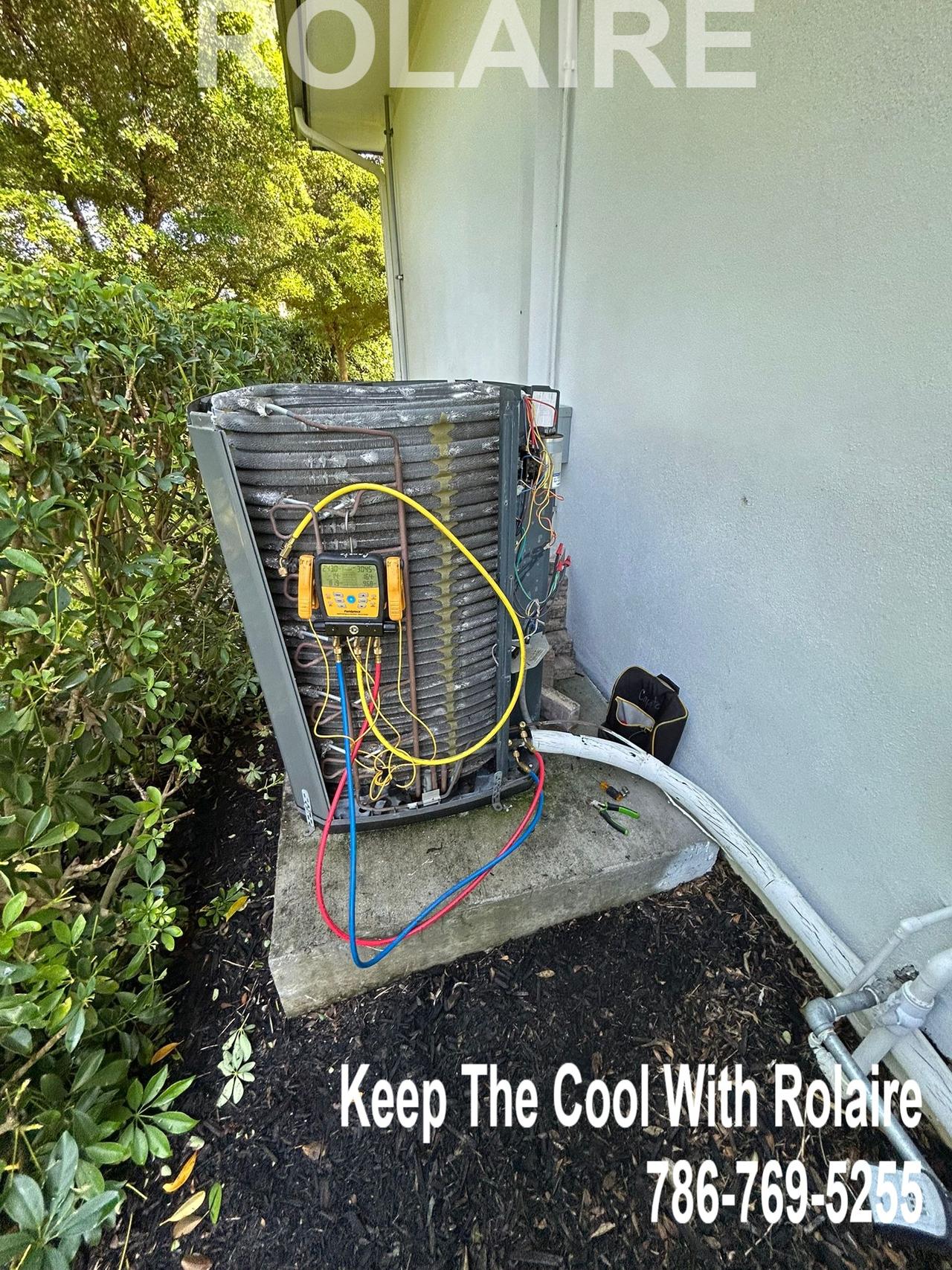 WhatsApp Image 2025-09-08 at 11.31.35 AM (2).jpeg