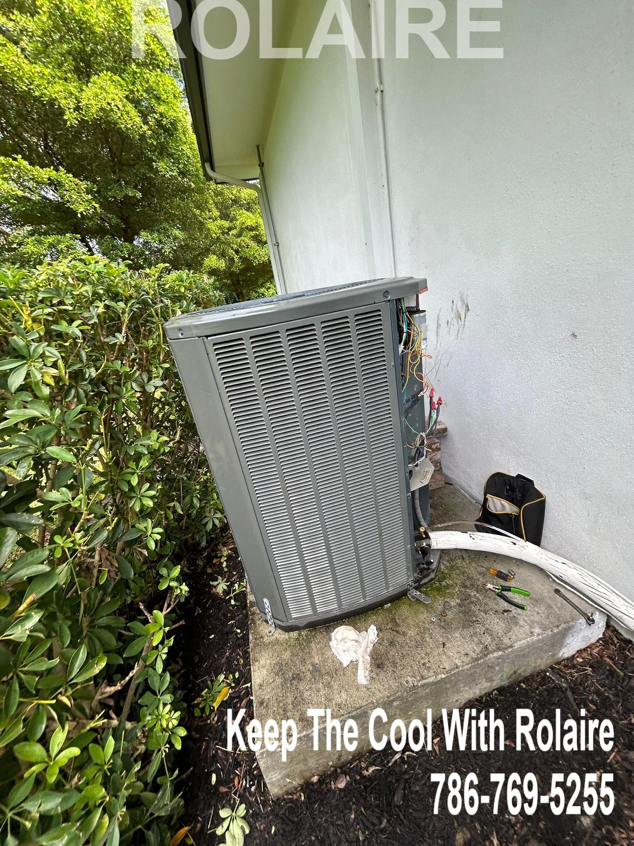 WhatsApp Image 2025-09-08 at 11.31.35 AM (6).jpeg