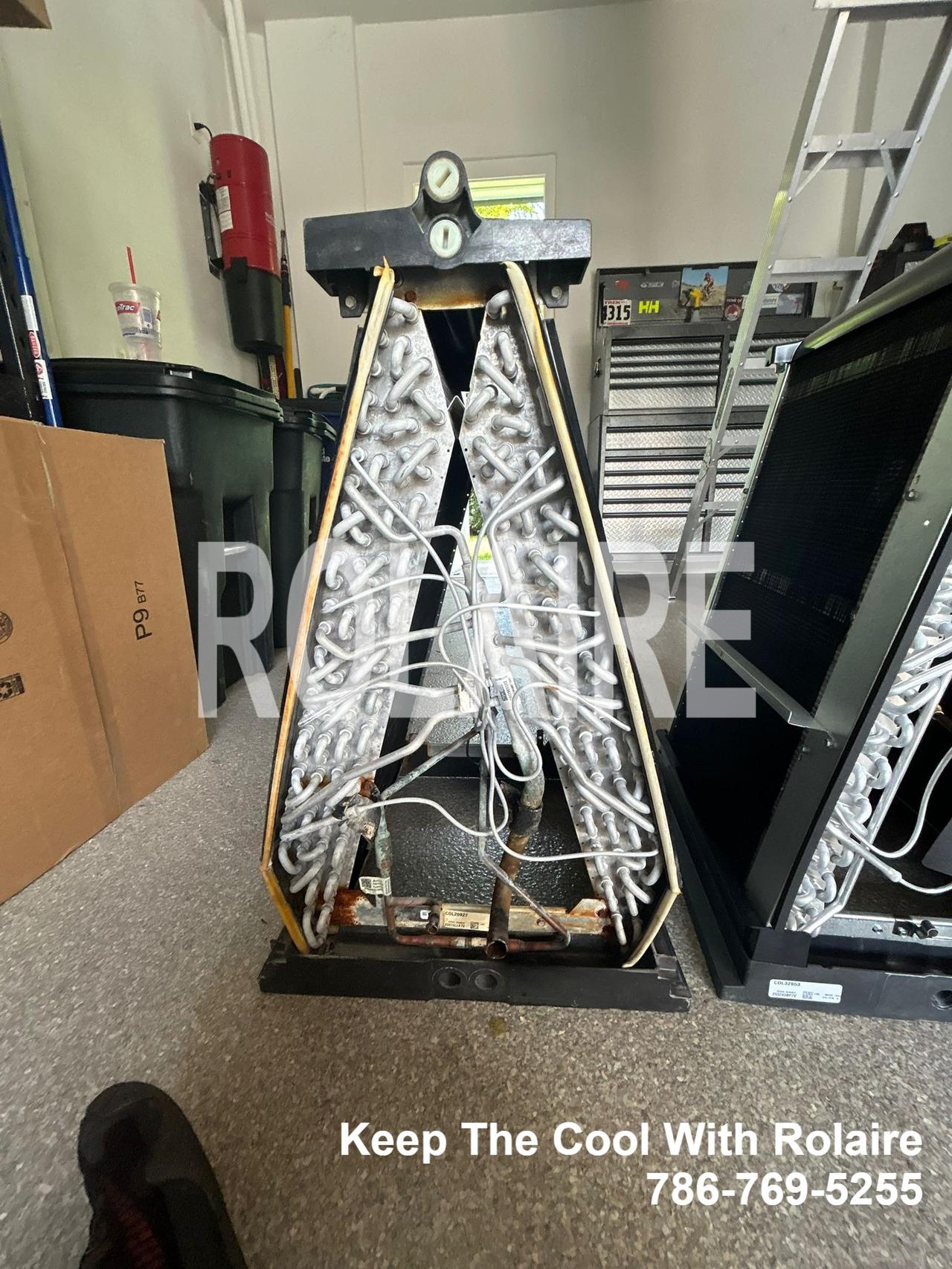 WhatsApp Image 2025-09-08 at 11.31.44 AM.jpeg