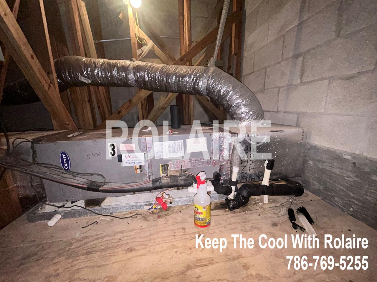 WhatsApp Image 2025-09-08 at 11.31.45 AM (1).jpeg