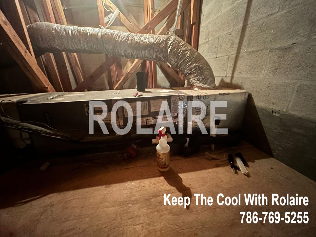 WhatsApp Image 2025-09-08 at 11.31.45 AM.jpeg