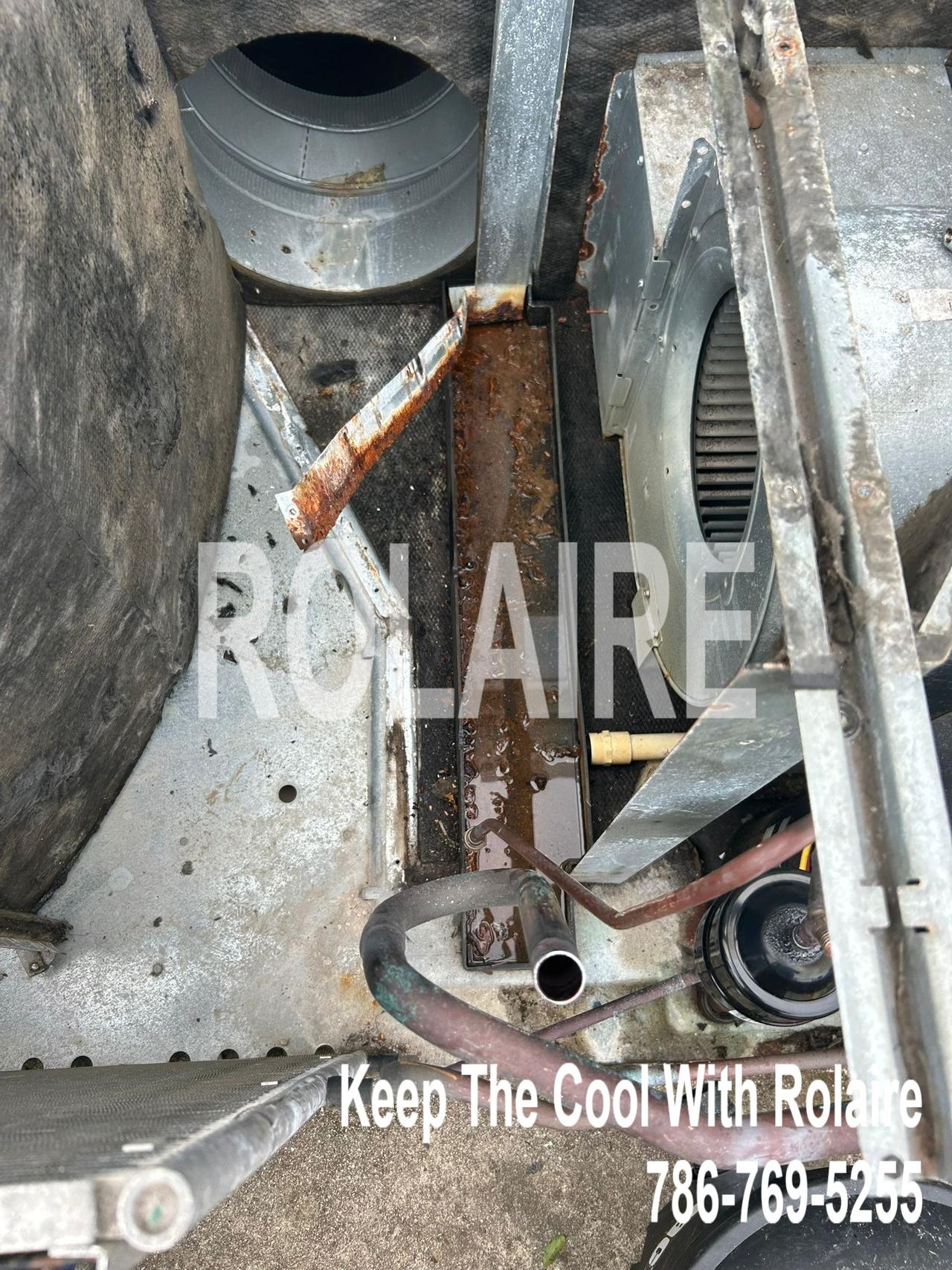 WhatsApp Image 2025-09-08 at 11.31.46 AM (3).jpeg