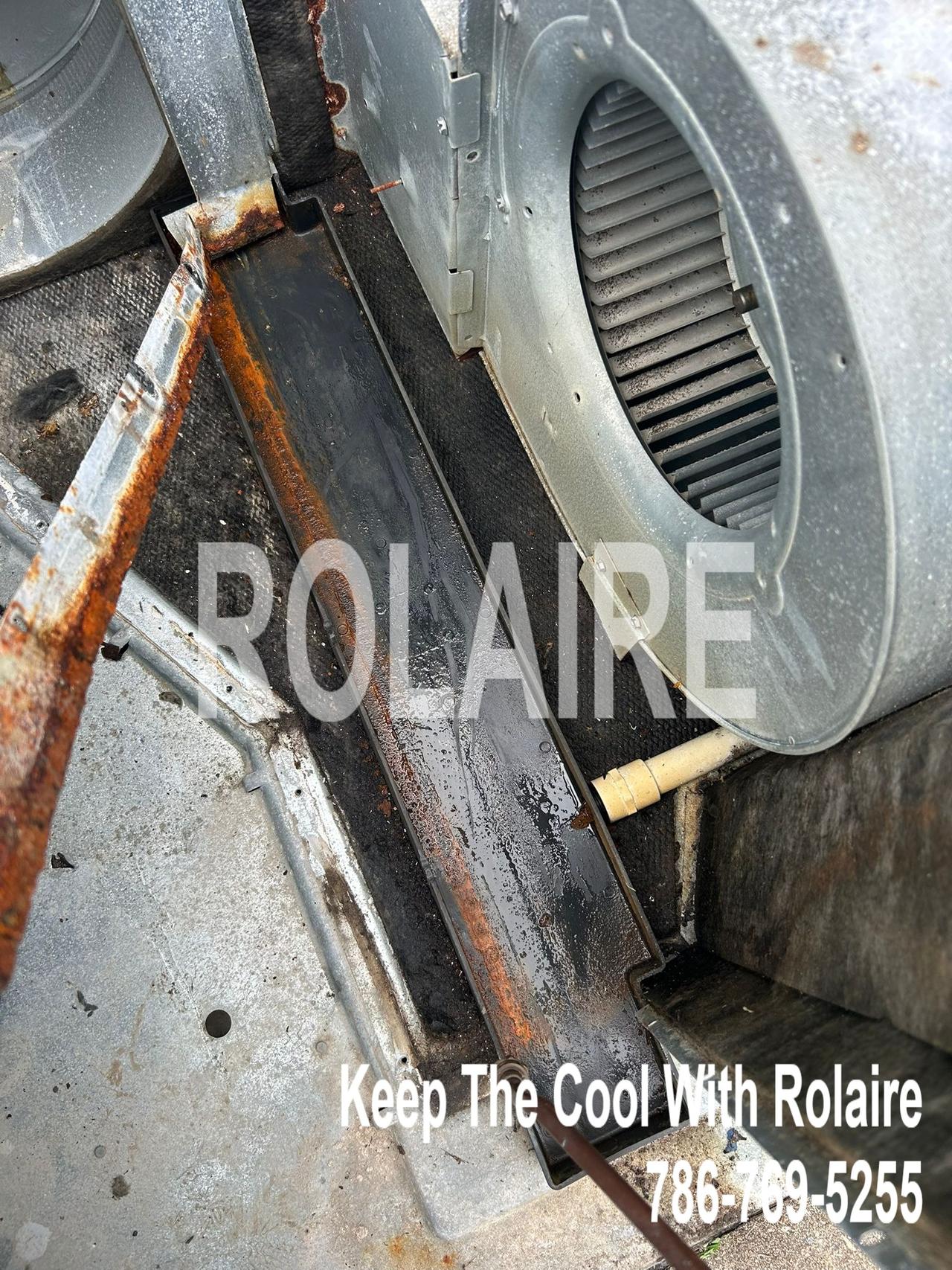 WhatsApp Image 2025-09-08 at 11.31.46 AM (4).jpeg