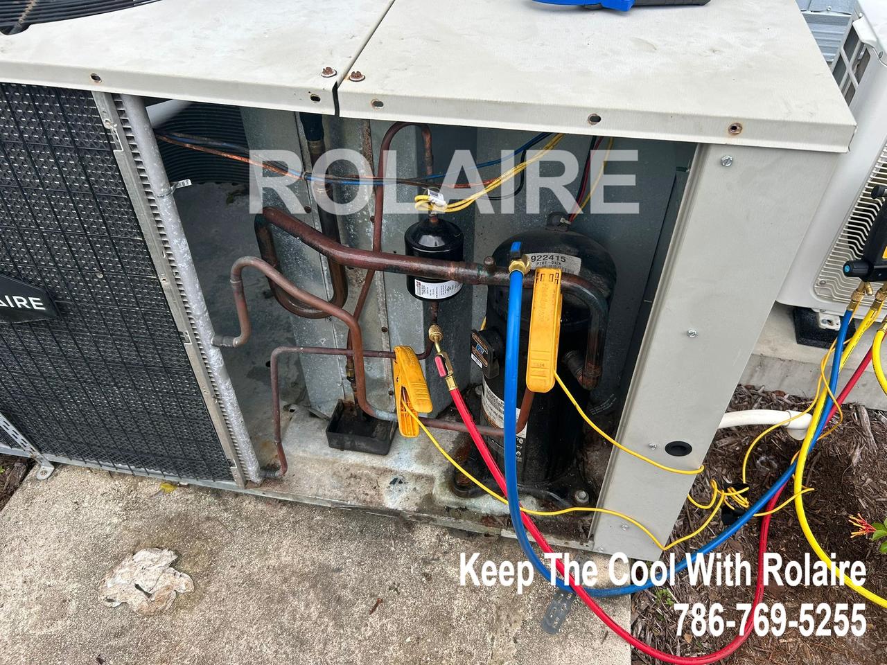 WhatsApp Image 2025-09-08 at 11.31.46 AM (5).jpeg