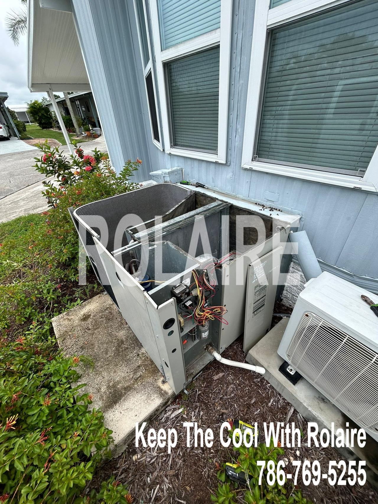 WhatsApp Image 2025-09-08 at 11.31.46 AM.jpeg