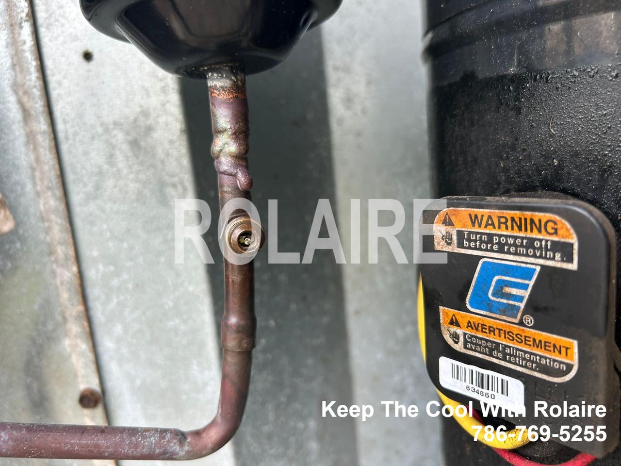 WhatsApp Image 2025-09-08 at 11.31.47 AM (1).jpeg