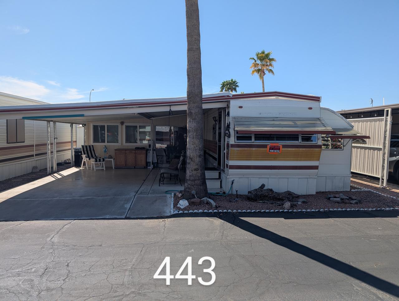 #443.jpg