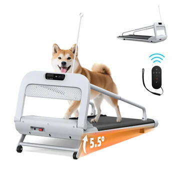 dogactivity.webp