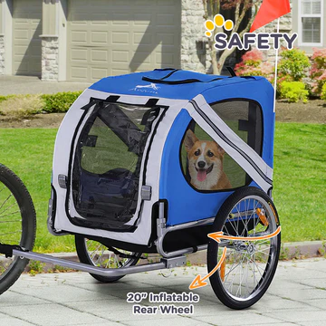 dogtravel.webp