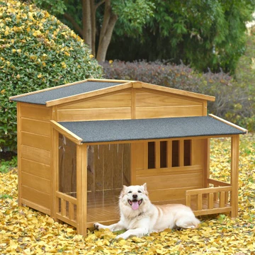 doghouse.webp