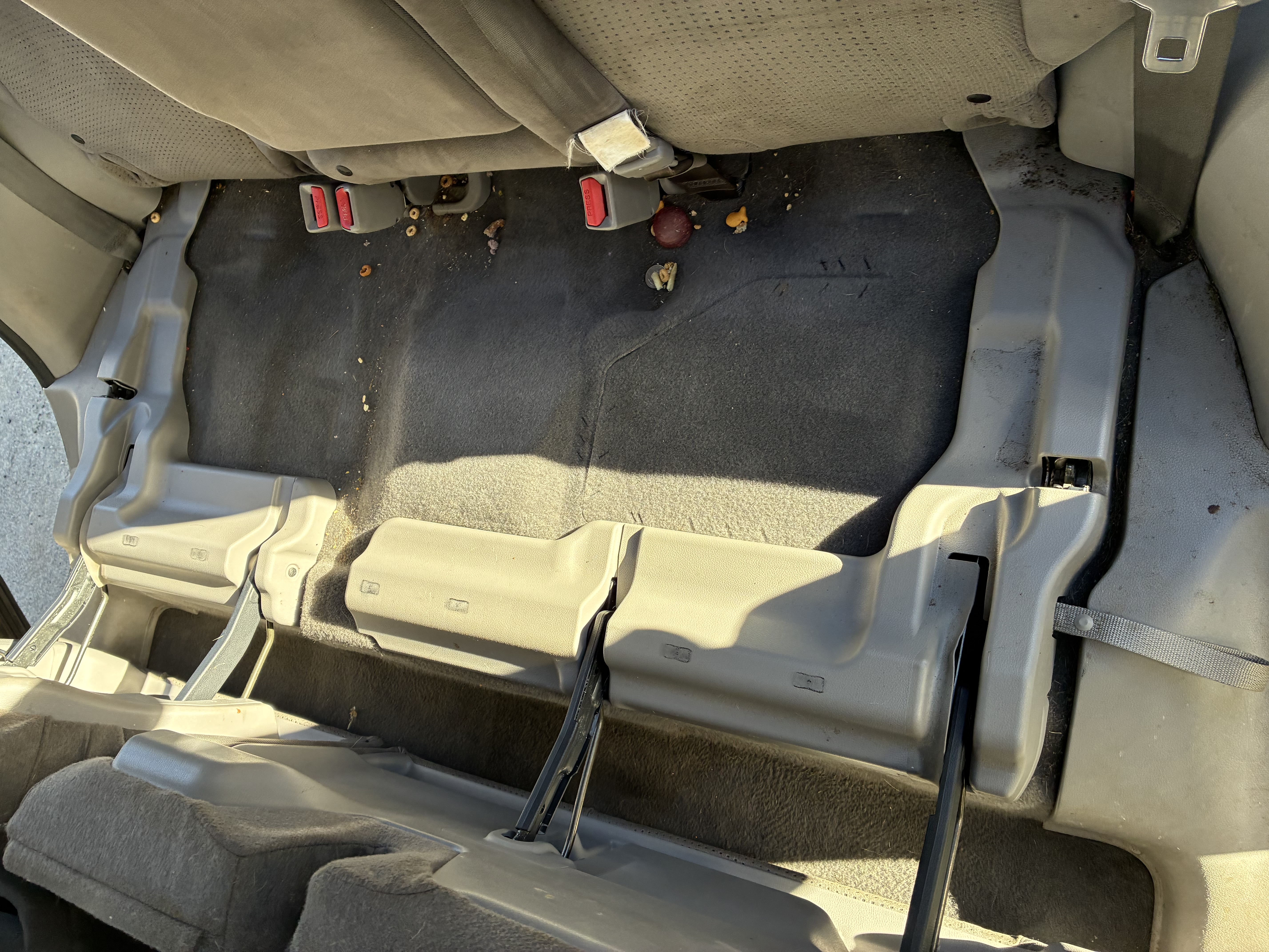 Professional detailing work