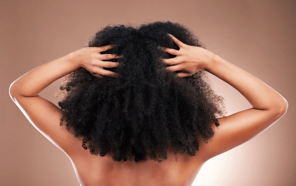 hands-hair-black-woman-afro-600nw-2272232683.webp