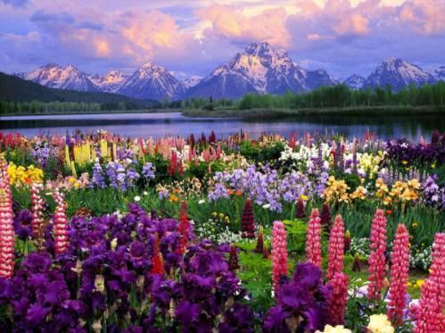 My diamond pianting Flower Field Diy Diamond Painting Embroidery 5D
