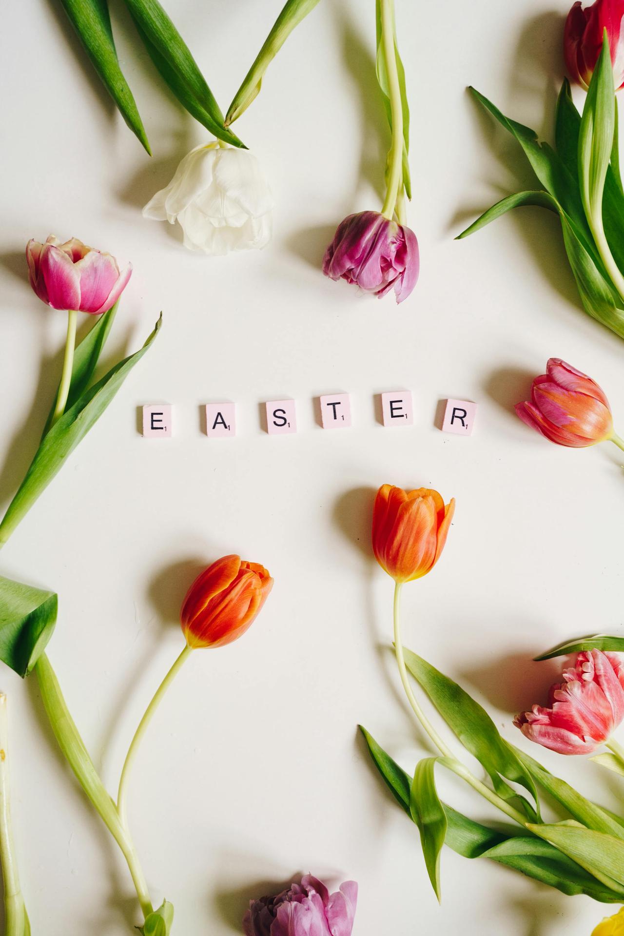 Decorative arrangement of tulips and Easter-themed scrabble tiles on a white background.