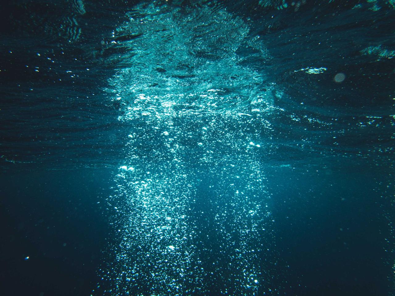 Captivating underwater scene with rising bubbles creating a serene and fluid atmosphere.