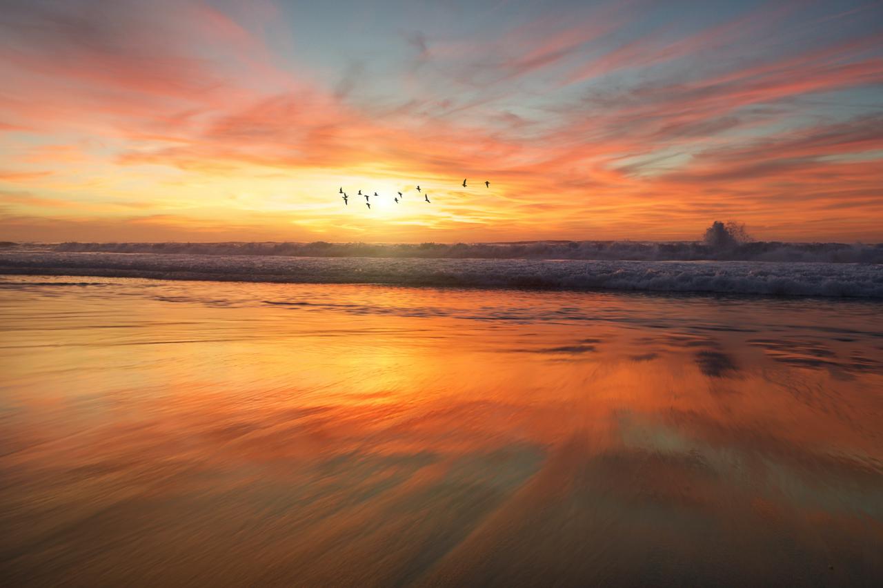 beach at sunset