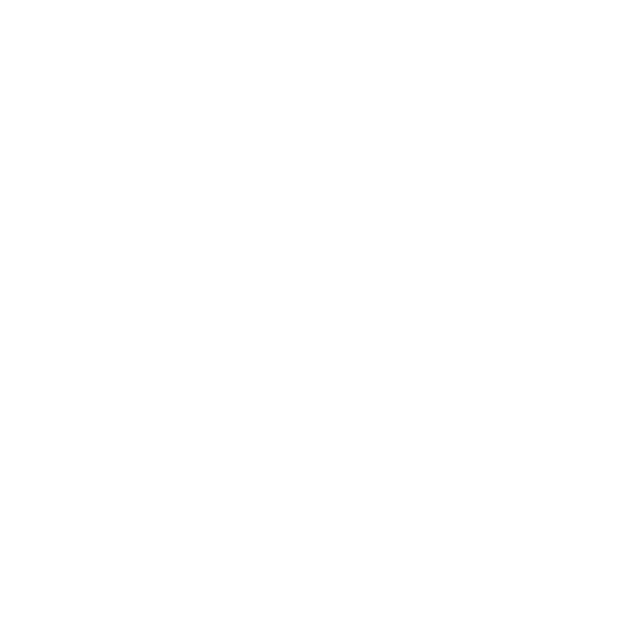 aip (3).png