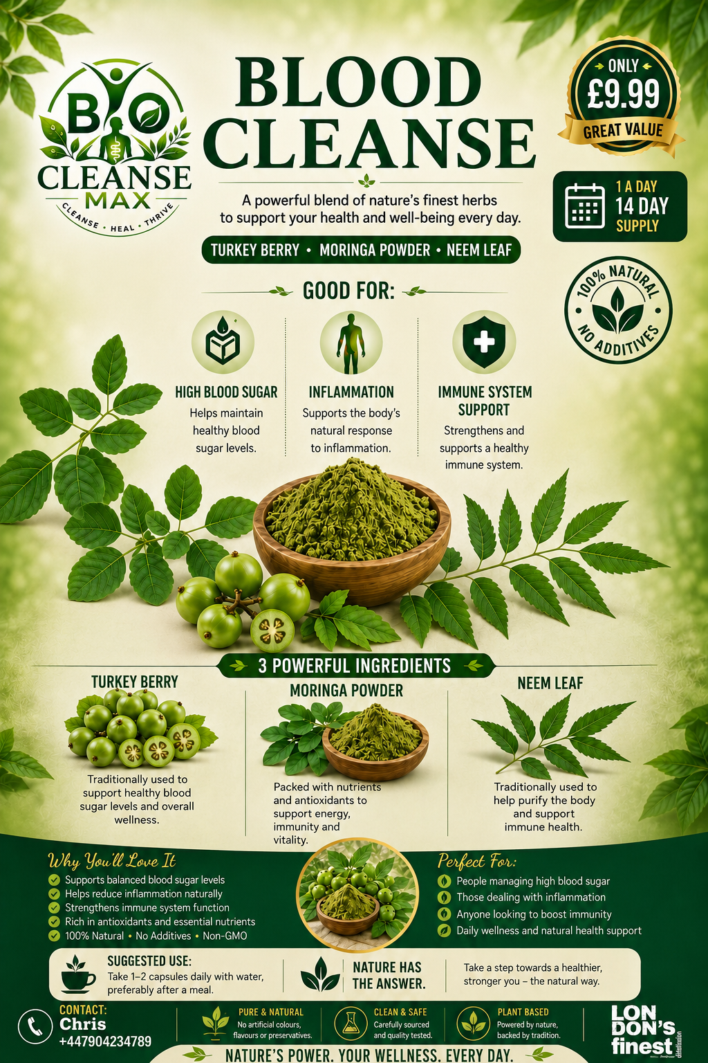 Blood Cleanse supplement product