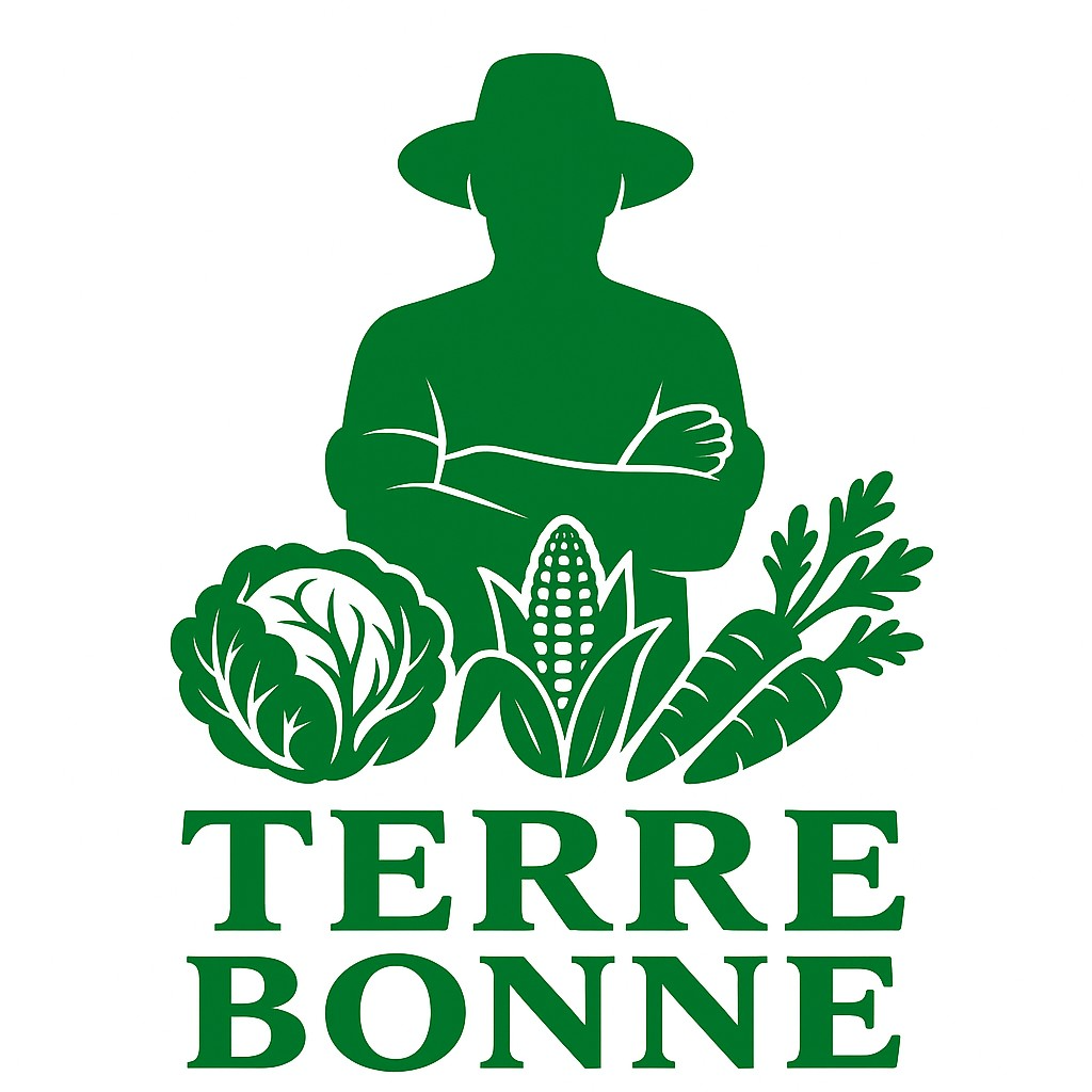 big_terre_-1753565389231.jpg