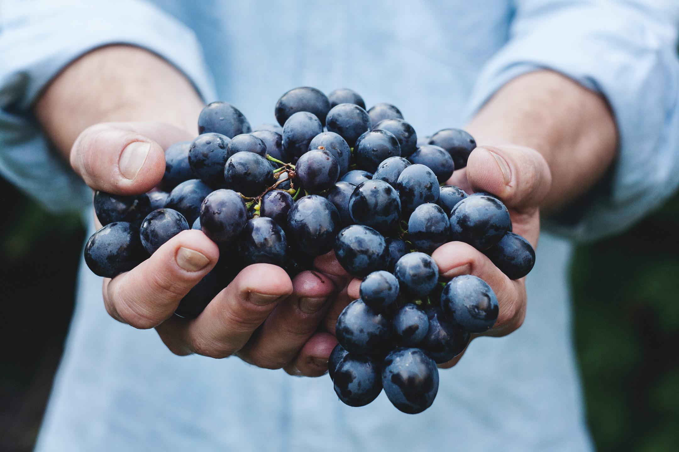 Warrior Wine products are from veteran-owned vineyards and proceeds support veteran charities
