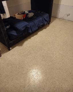 img_1169.jpg
