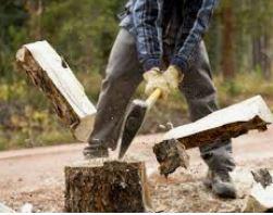 ax cutting contest.jpg