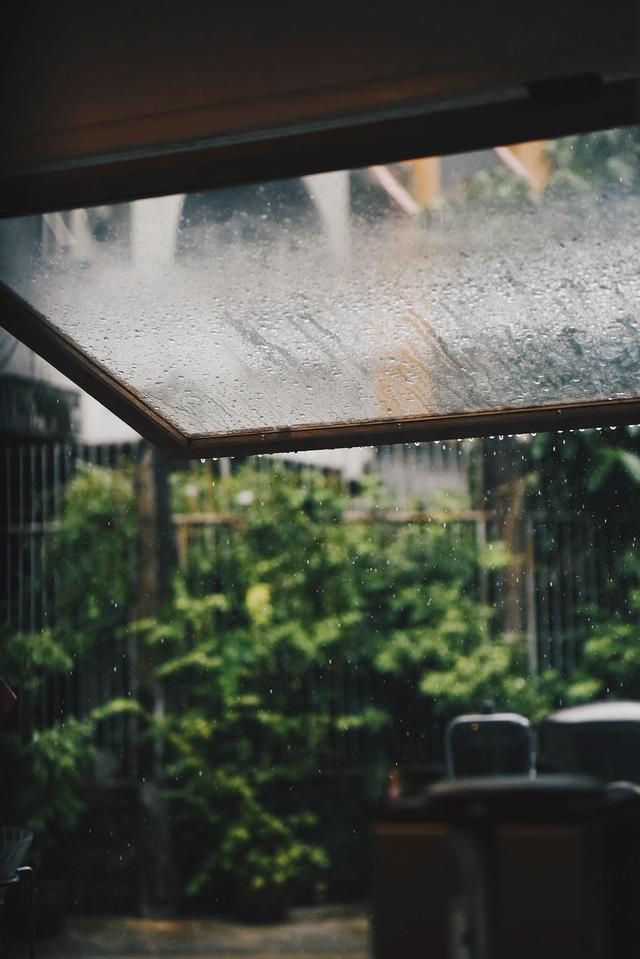 Rain
