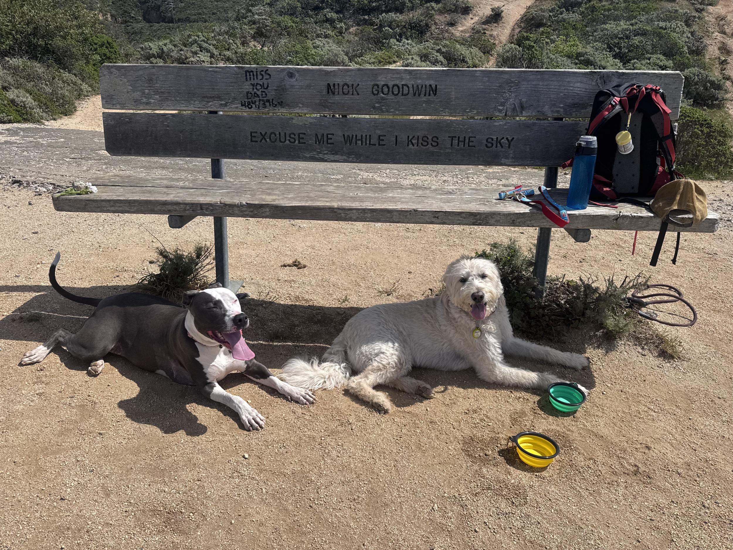 excuse me while i kiss the sky.jpeg