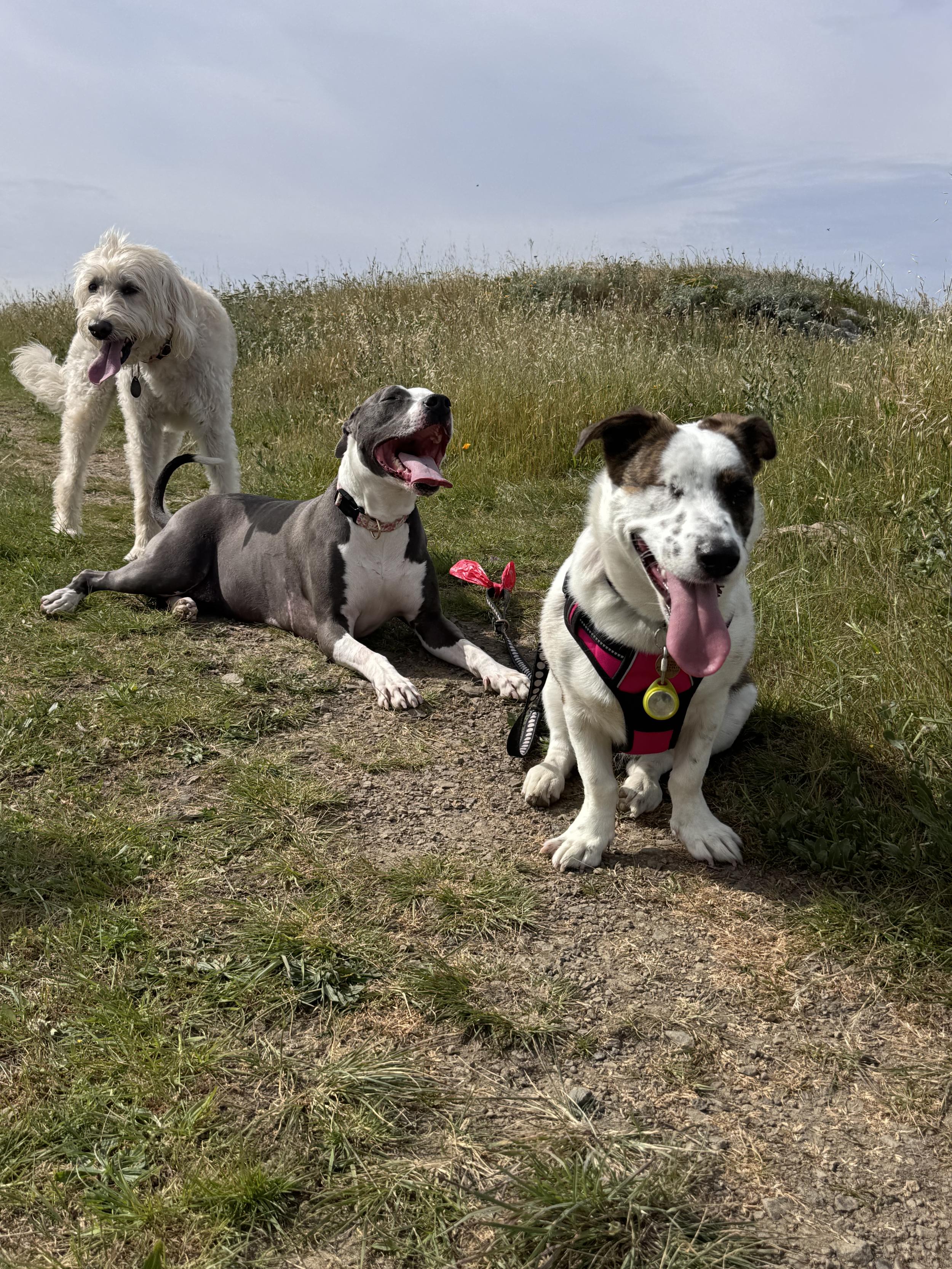 penny cleo and ley.jpeg