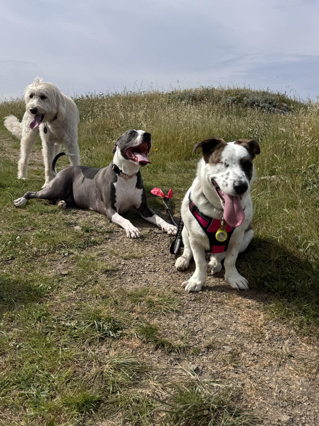 penny cleo and ley.jpeg