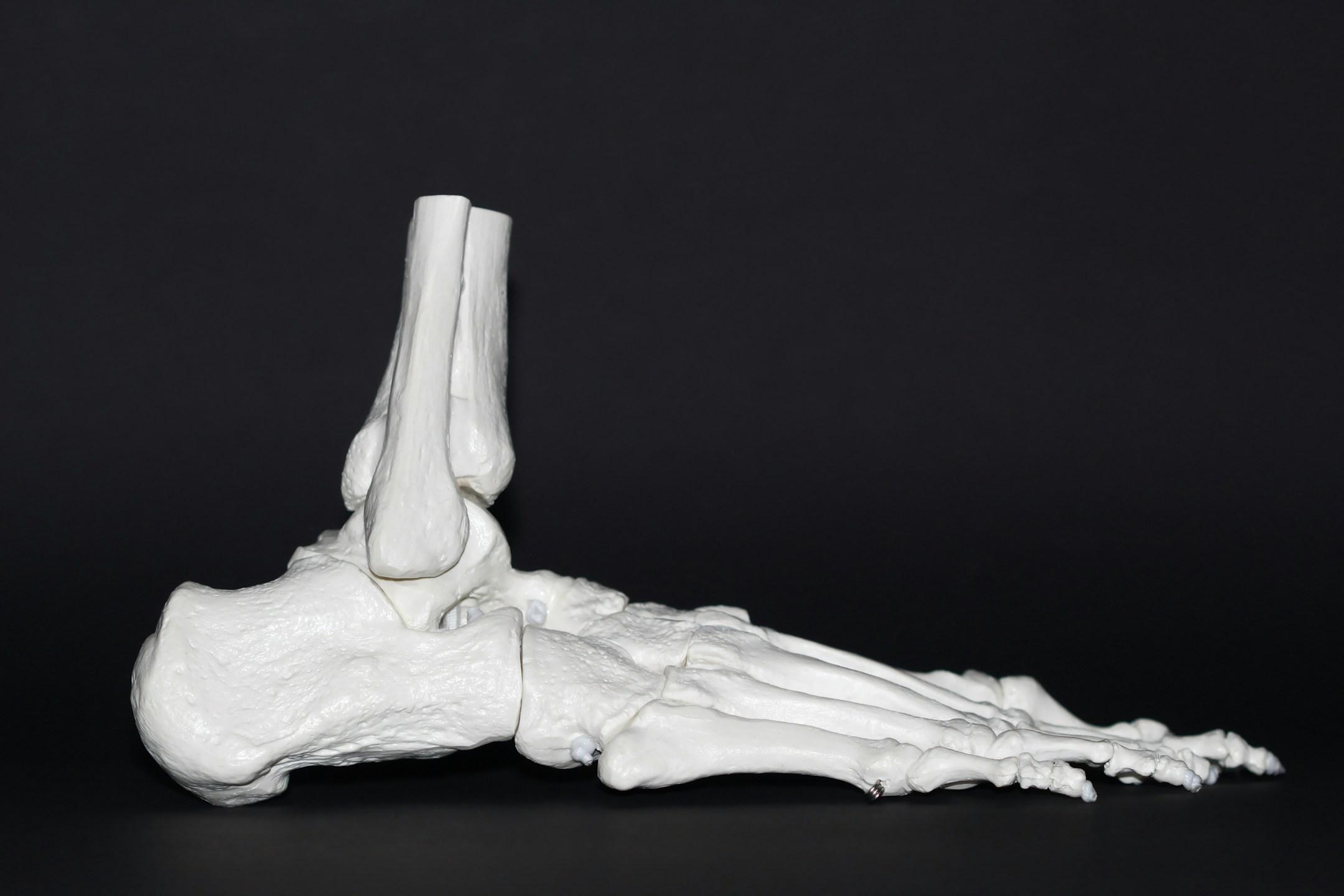 Personalized chiropractic care