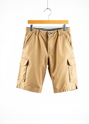 Khaki Casual Shorts