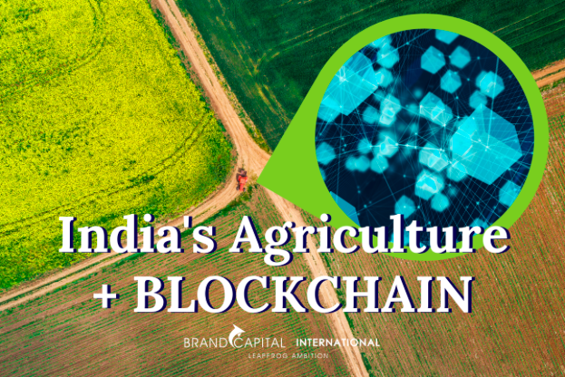 screen shot 2020-09-02 at 7.04.16 pm.png