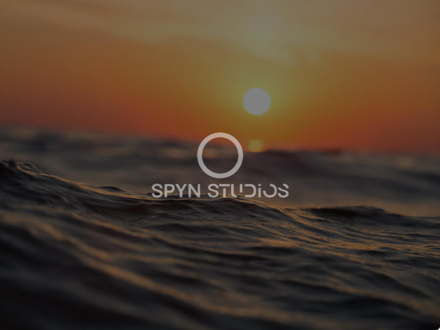 logoai - spyn studios watermark14.jpg