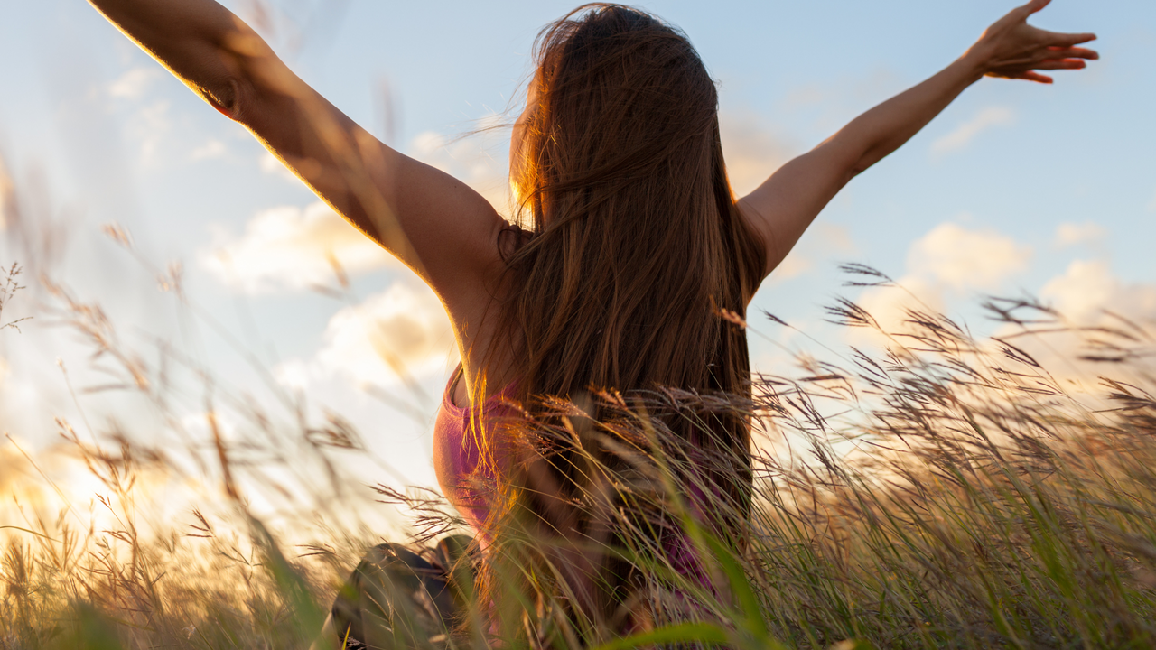 brown simple adventure youtube banner (7).png