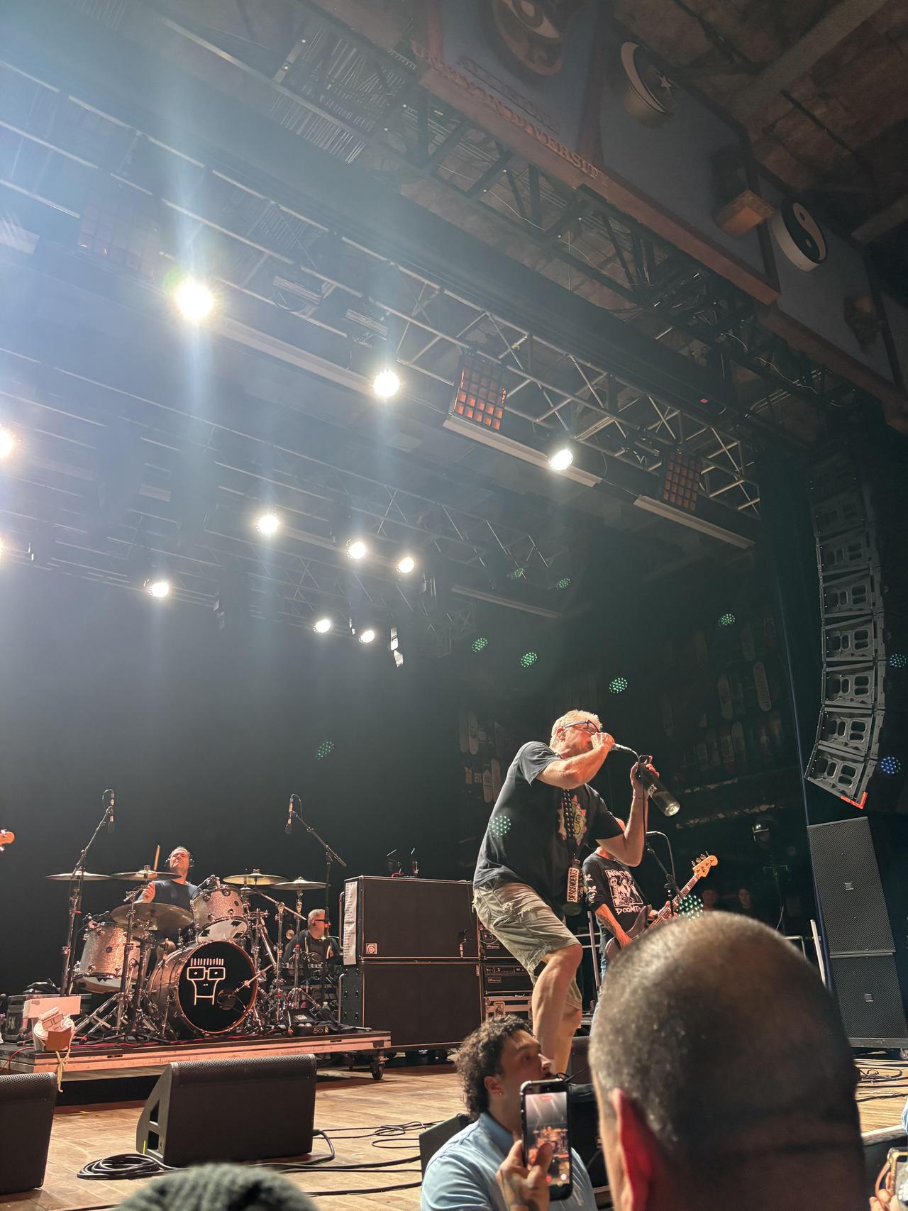 descendents 1.jpg