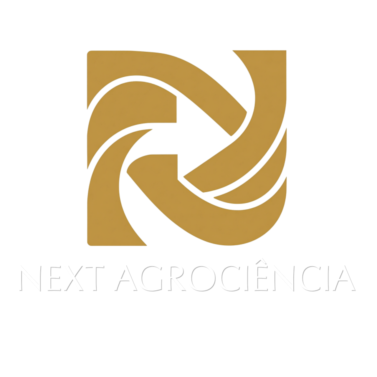 logo nova next (2).png