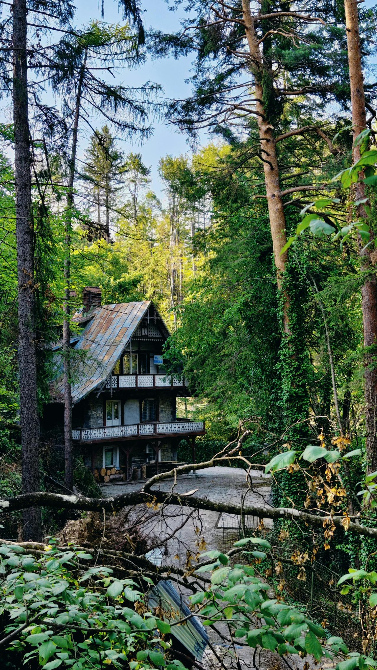 Charming forest house surrounded by lush greenery in Sinaia, Romania