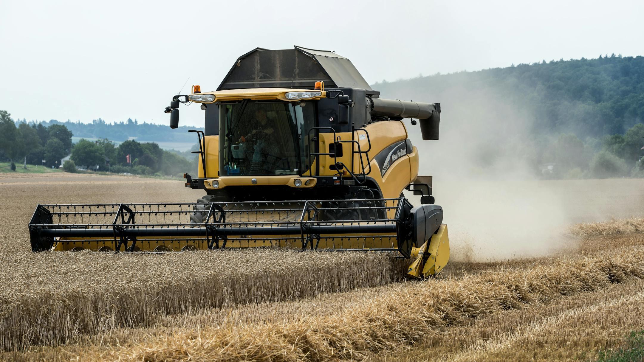 Combine harvester operating in wheat field in Höxter, Germany.