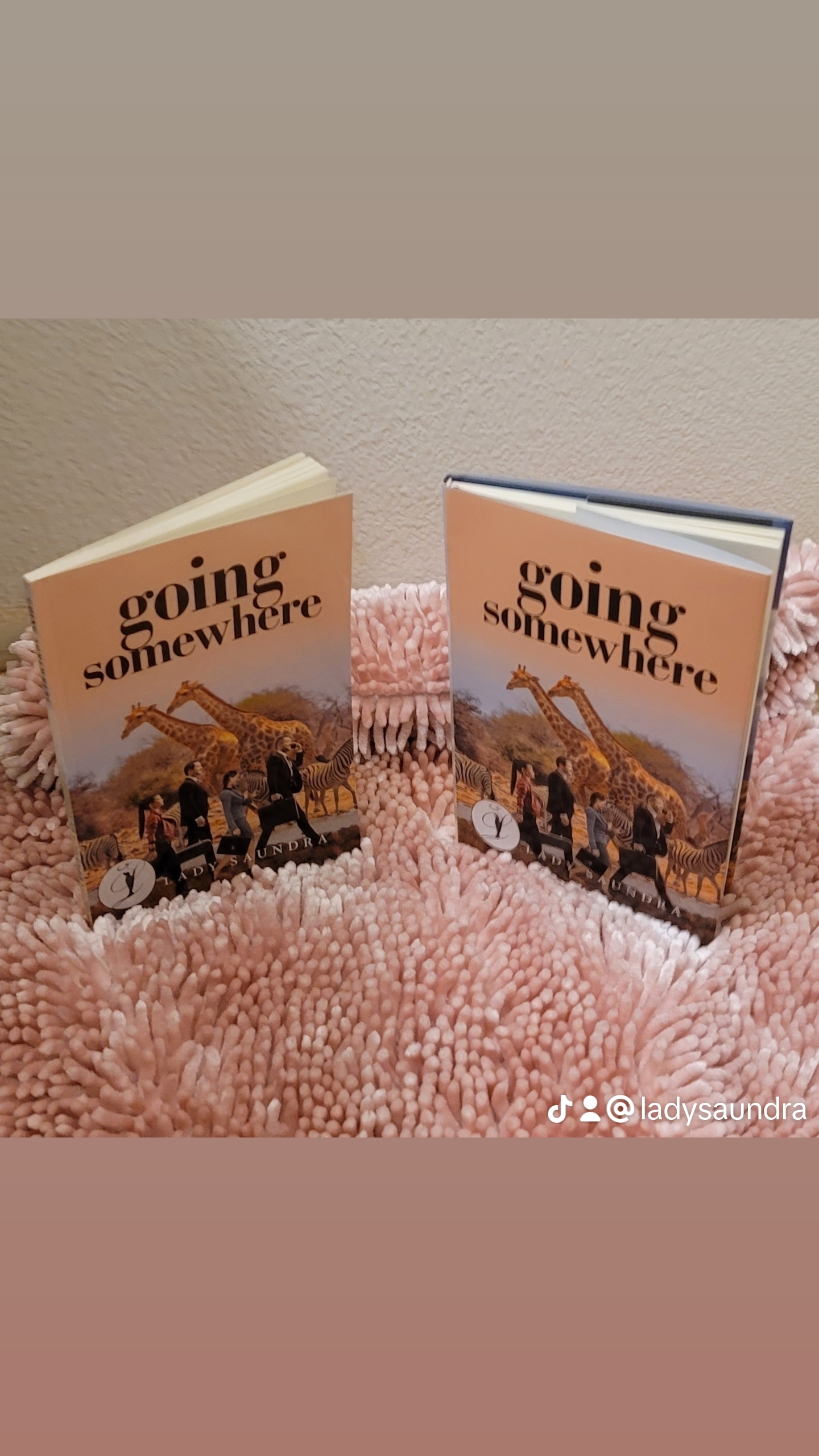 Going Somewhere book cover