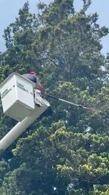 videoplayback.mp4