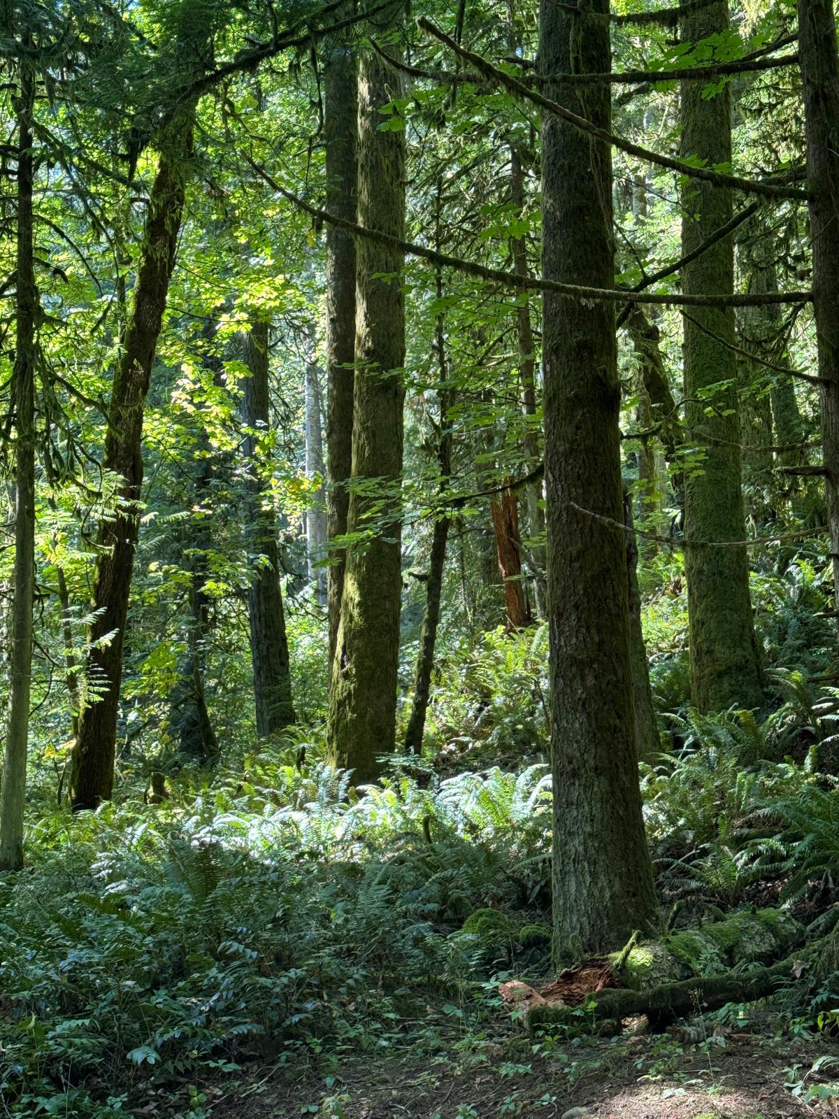 whatsapp image 2024-09-05 at 10.52.03 am.jpeg