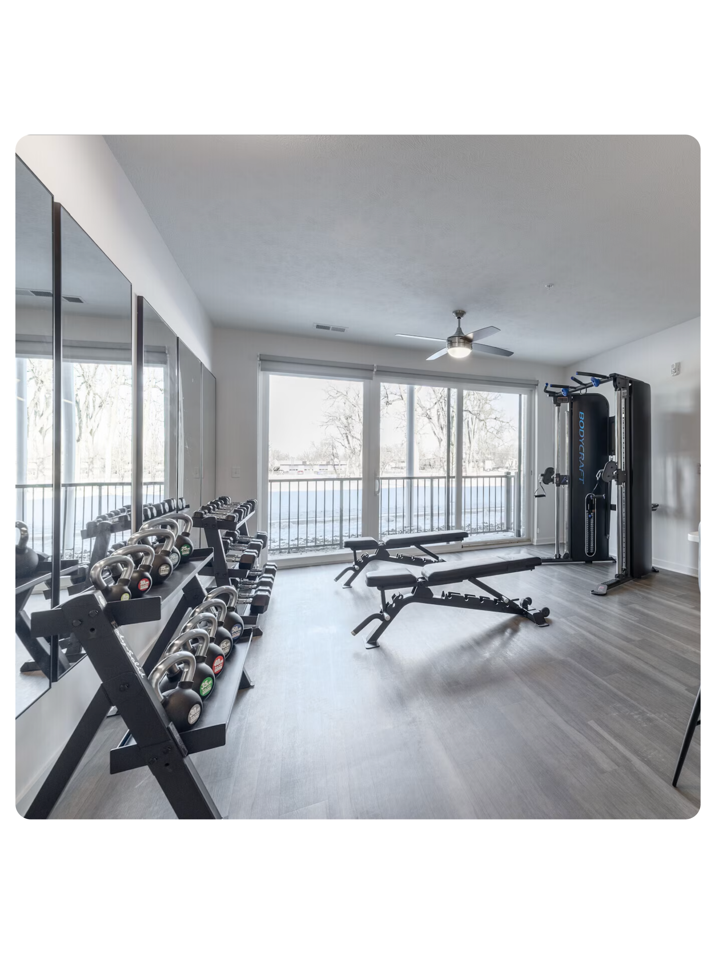 untitled design (8).png