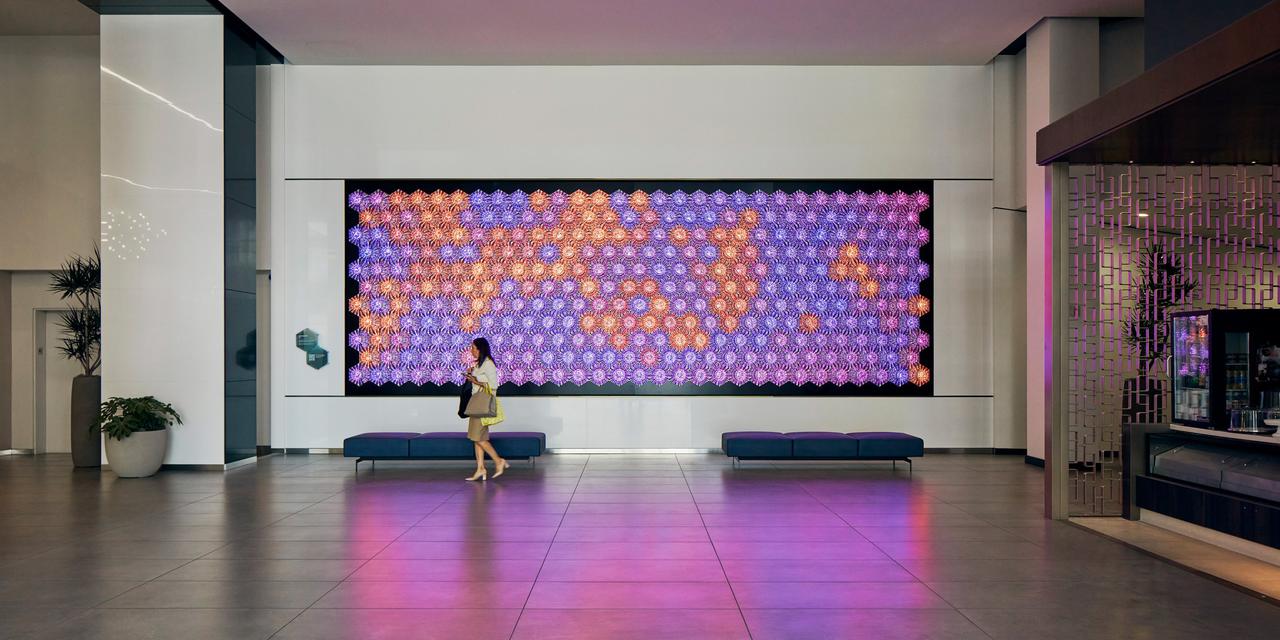 chameleon wall 8.jpg