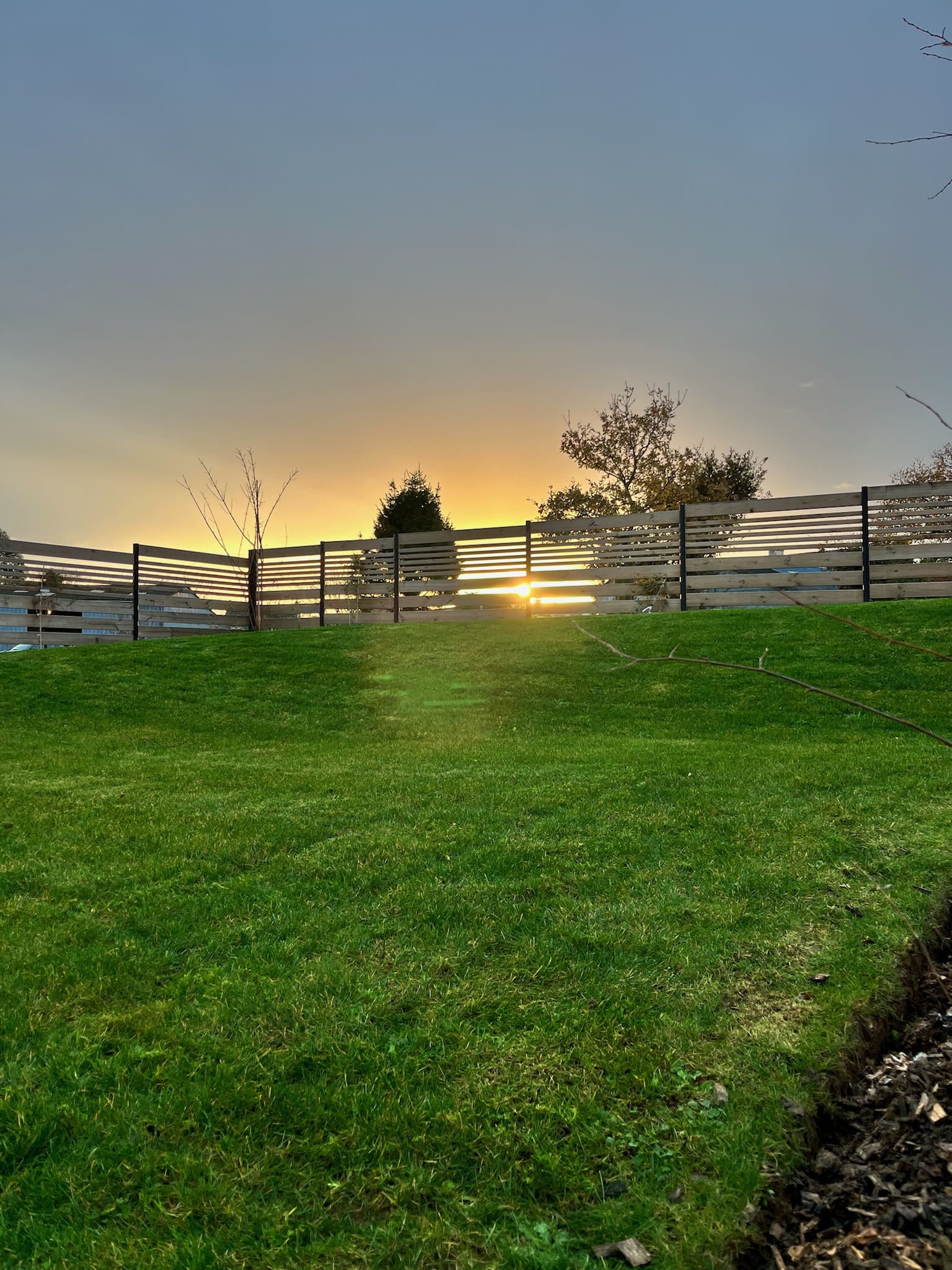 Suivi et Tonte de Jardin Tout au Long de l'Année