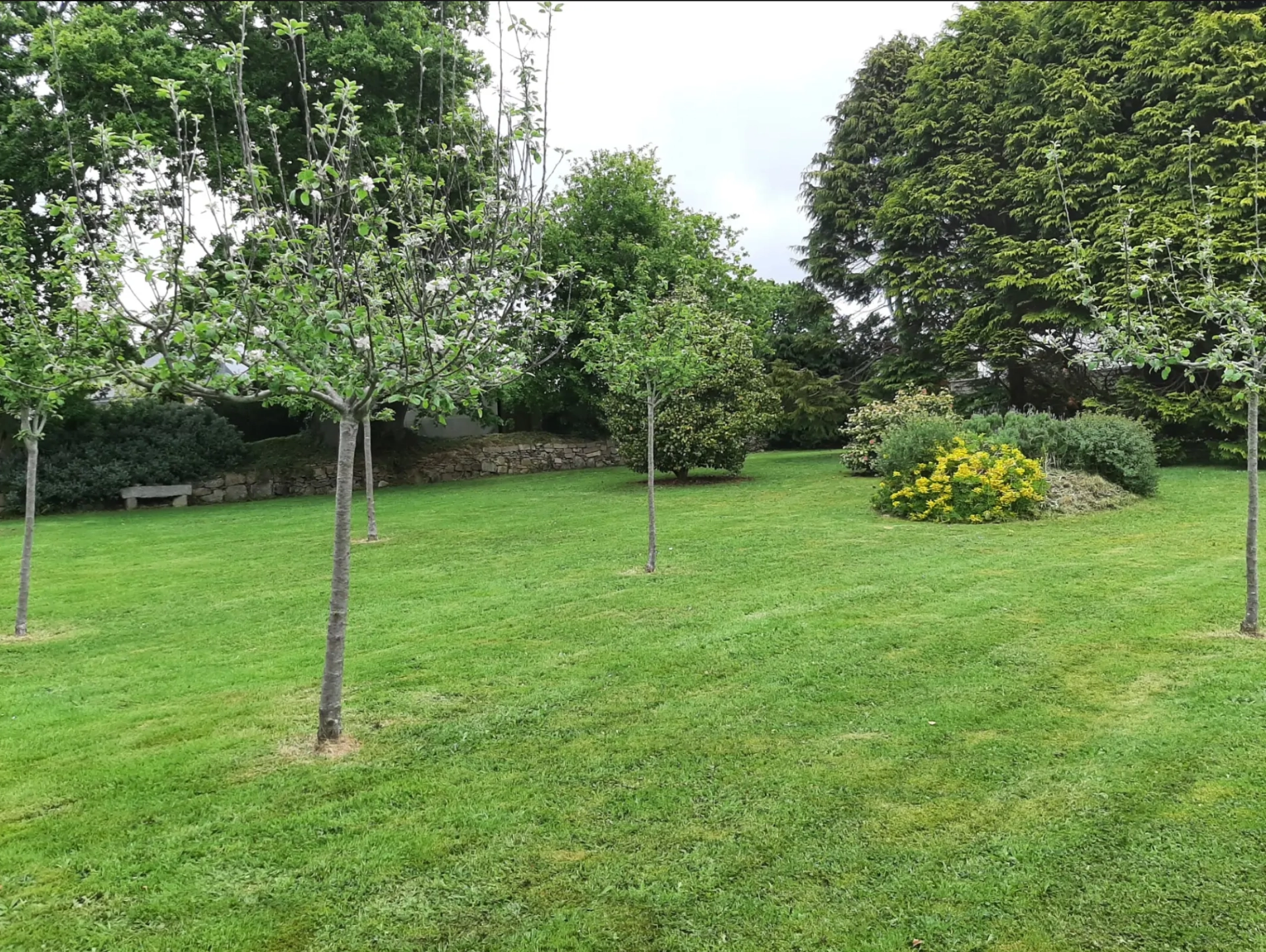 Aménagement de Jardin Spacieux